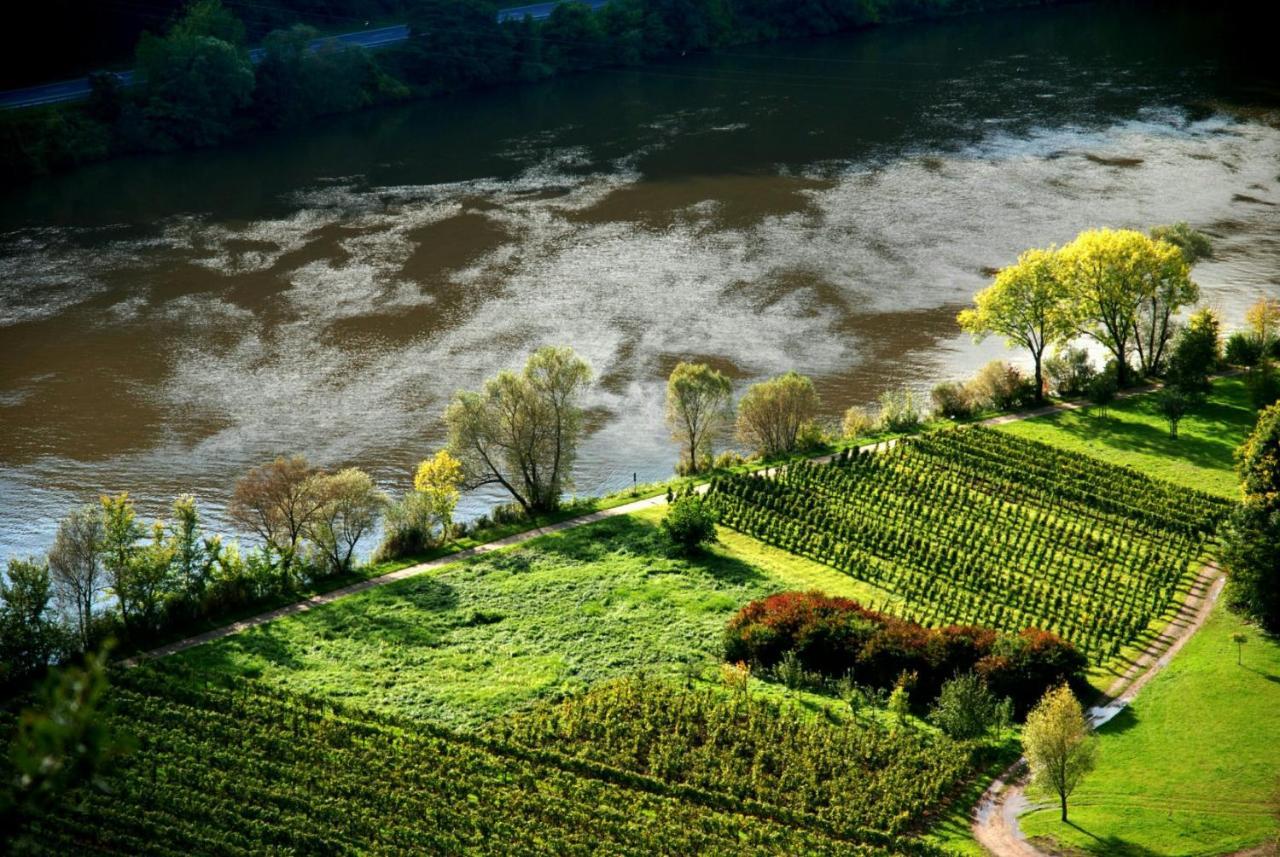 Ferienwohnung Weingut Helmut Barzen Zell Exterior foto