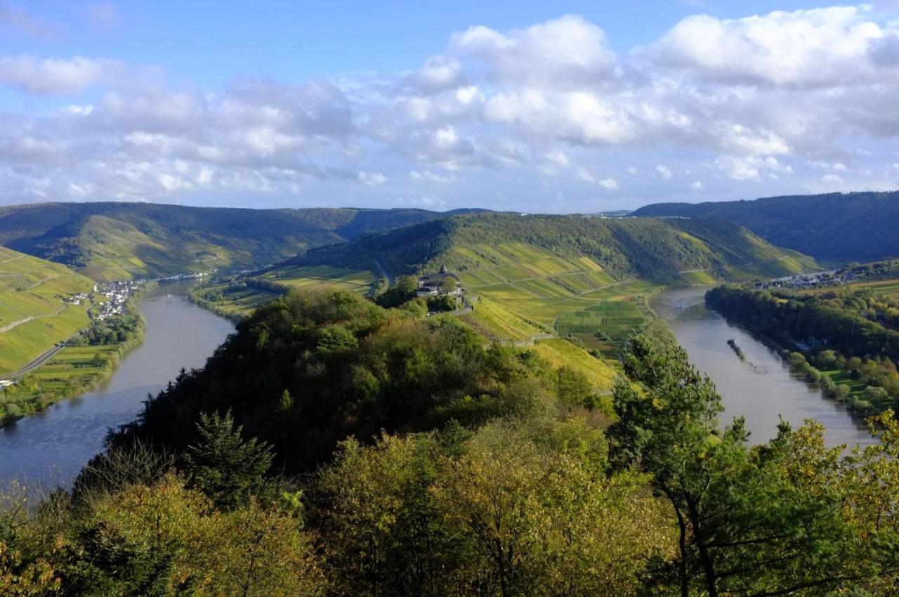 Ferienwohnung Weingut Helmut Barzen Zell Exterior foto